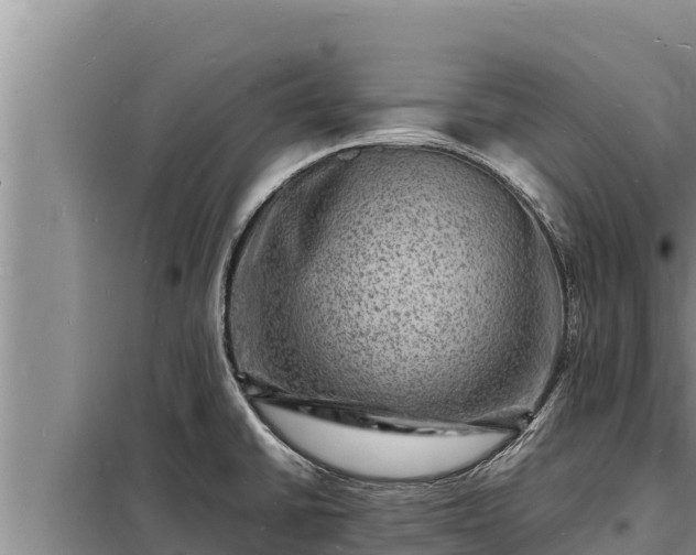 X0000098181430200805011026