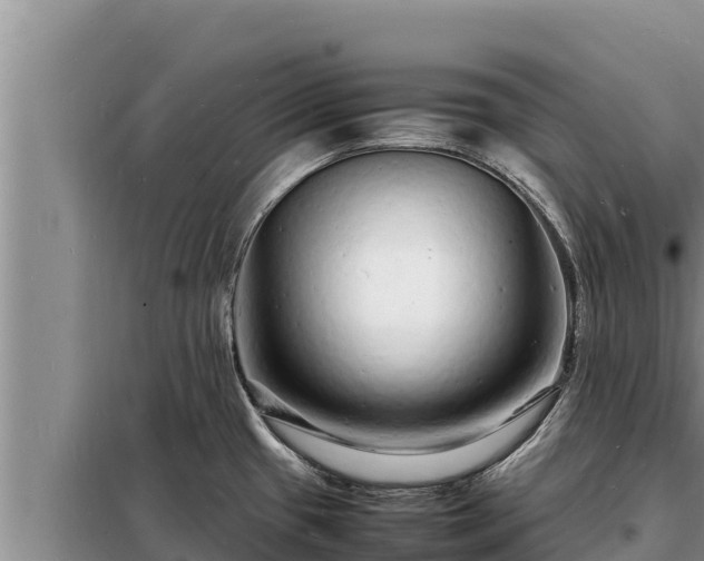 X0000098181433200805011026