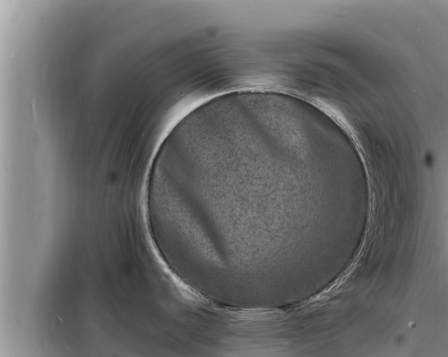 X0000098181440200805011026