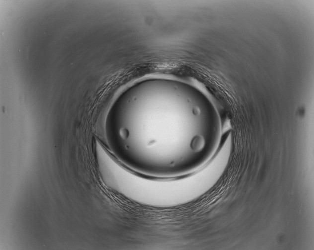 X0000098181441200805011025