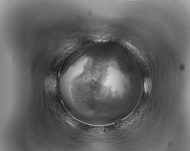 X0000098181444200805011025