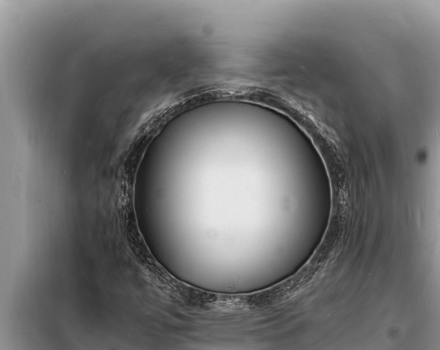 X0000098181447200805011025