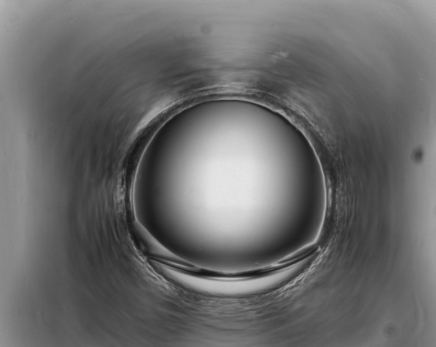 X0000098181450200805011025