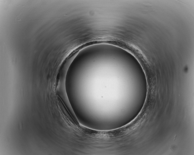 X0000098181457200805011025