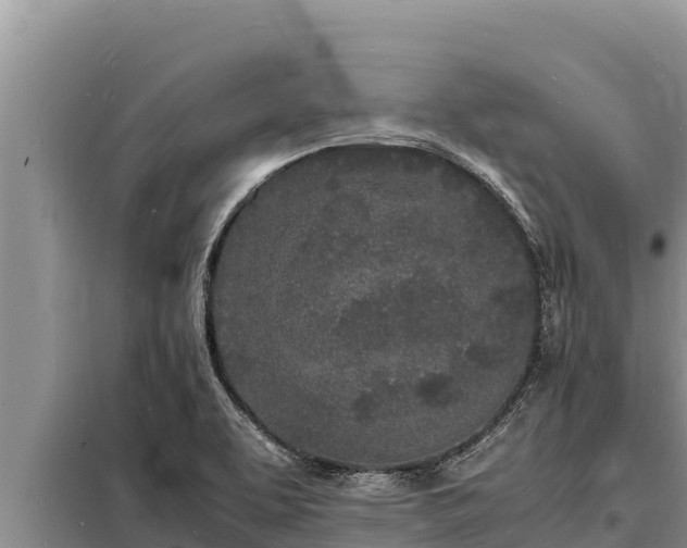 X0000098181463200805011025