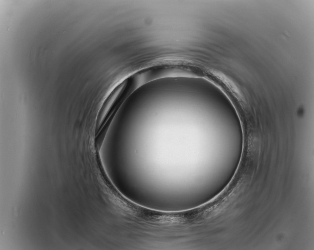 X0000098181465200805011025