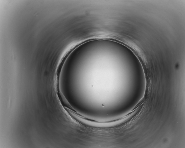 X0000098181472200805011025