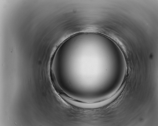 X0000098181480200805011025