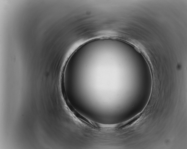 X0000098181488200805011025