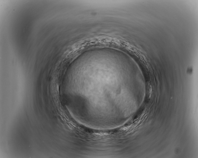 X0000098181489200805011024