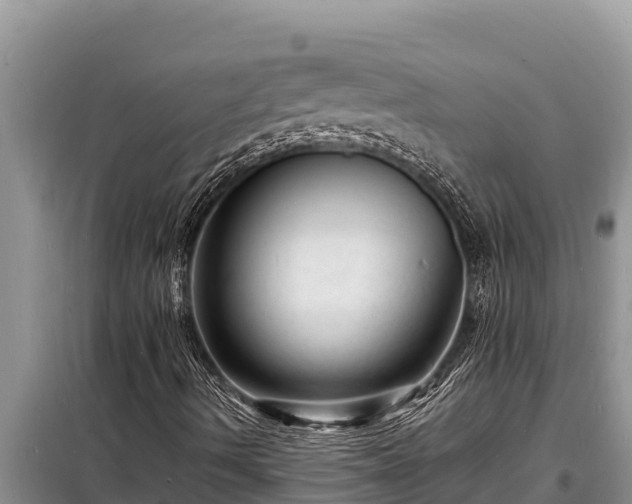 X0000098181490200805011024