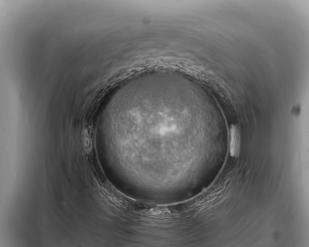 X0000098181491200805011024