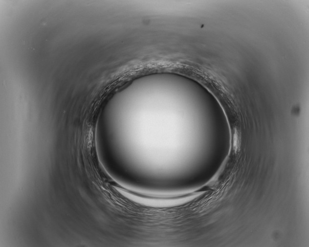 X0000098181492200805011024