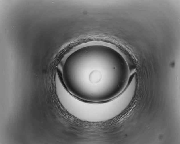 X0000098181494200805011024