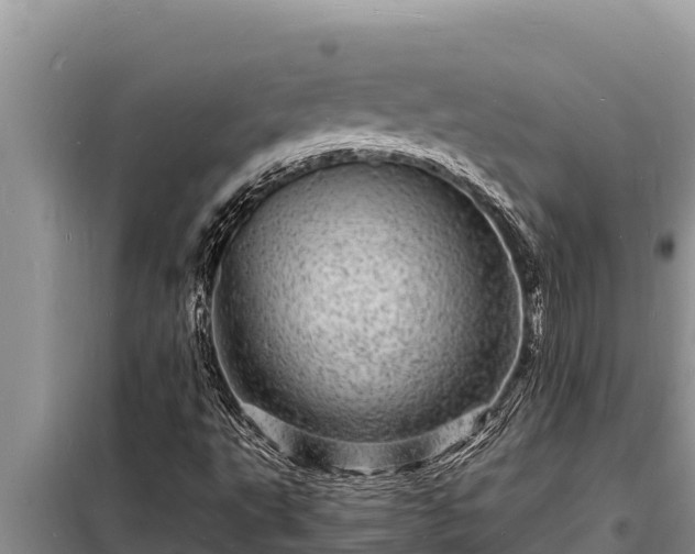 X0000098181495200805011024