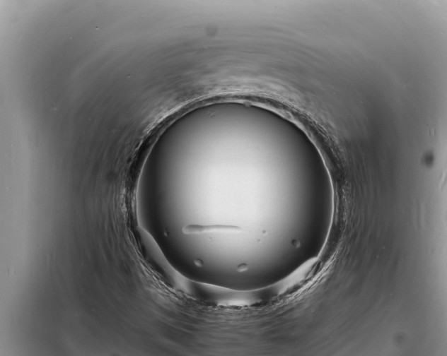 X0000098181497200805011024