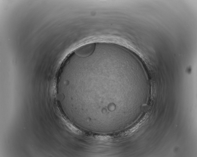 X0000098181498200805011024