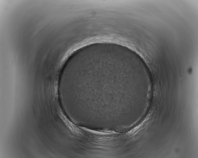 X0000098181499200805011024