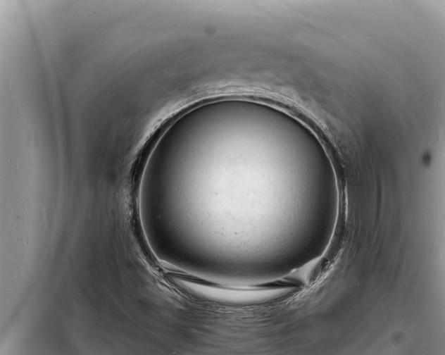 X0000098181501200805011024