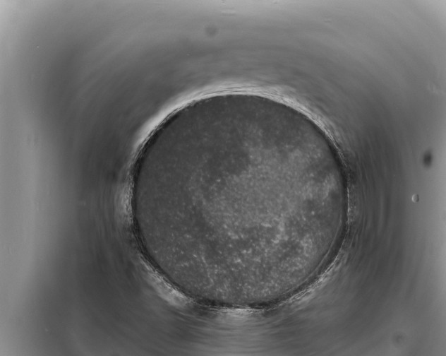 X0000098181502200805011024