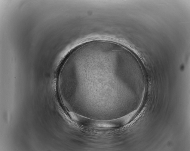 X0000098181503200805011024
