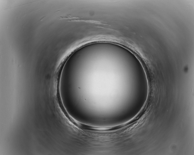 X0000098181504200805011024