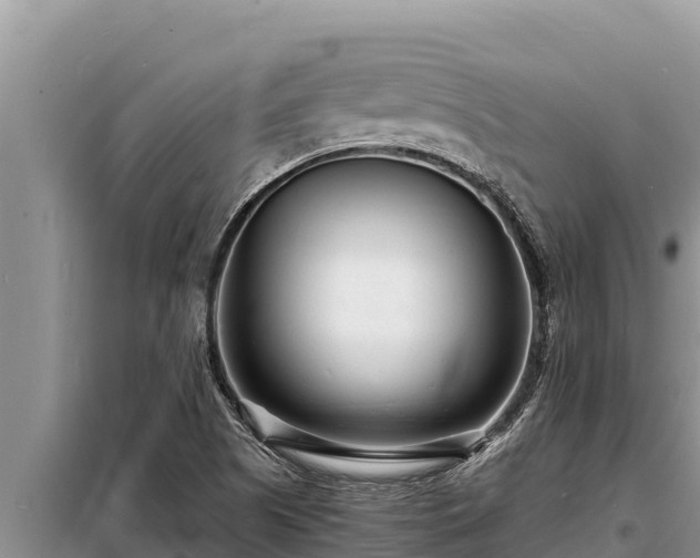 X0000098181505200805011024