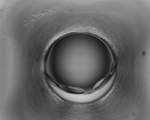 X0000098181506200805011024