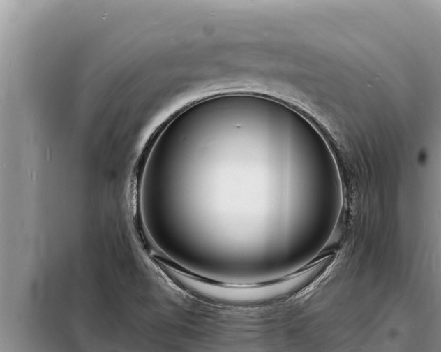 X0000098181510200805011024
