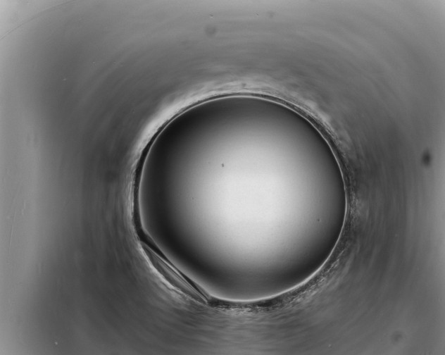 X0000098181512200805011024