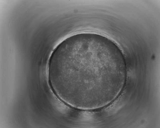 X0000098181514200805011024