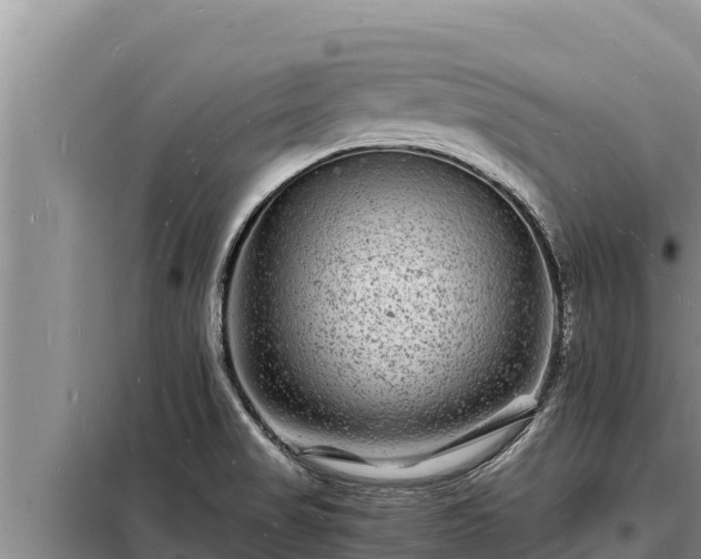 X0000098181517200805011024