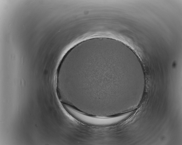 X0000098181519200805011024