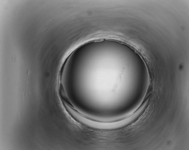 X0000098181520200805011024
