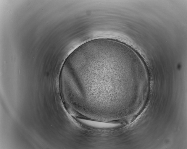 X0000098181521200805011024