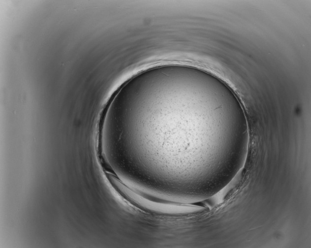 X0000098181523200805011024