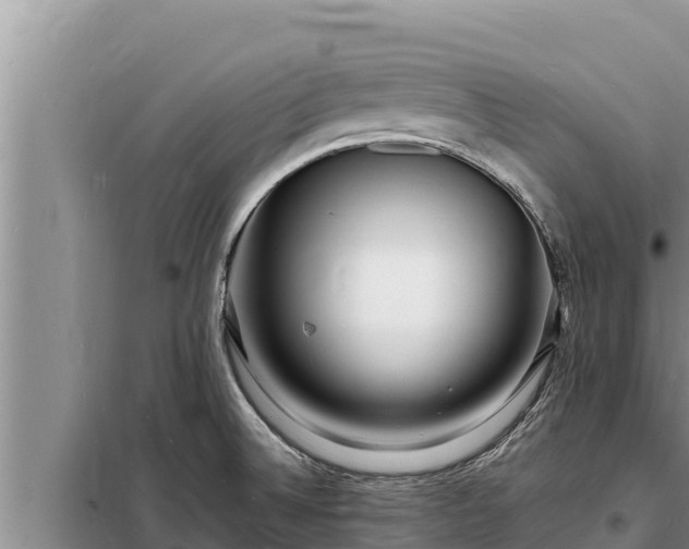 X0000098181524200805011024