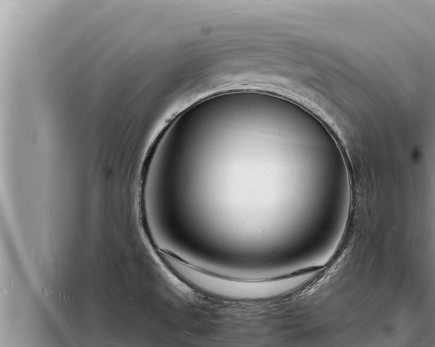 X0000098181525200805011024