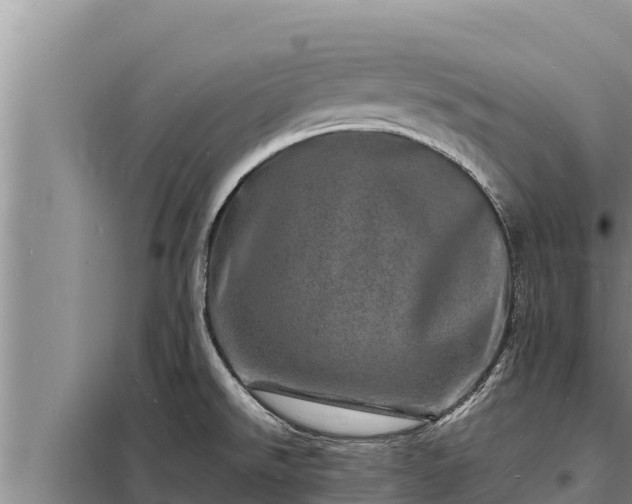 X0000098181526200805011024