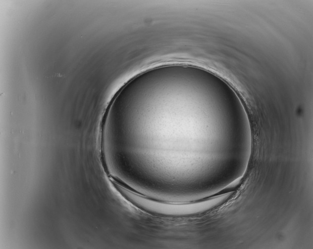 X0000098181527200805011024