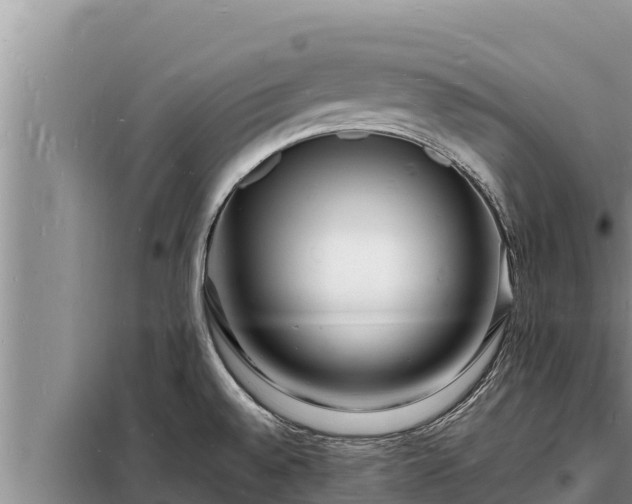 X0000098181528200805011024