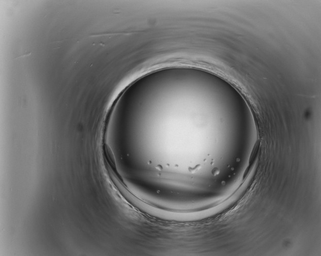 X0000098181530200805011024