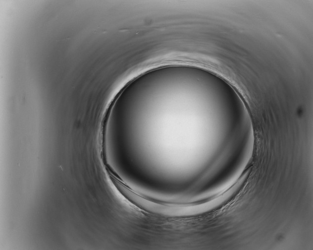 X0000098181531200805011024