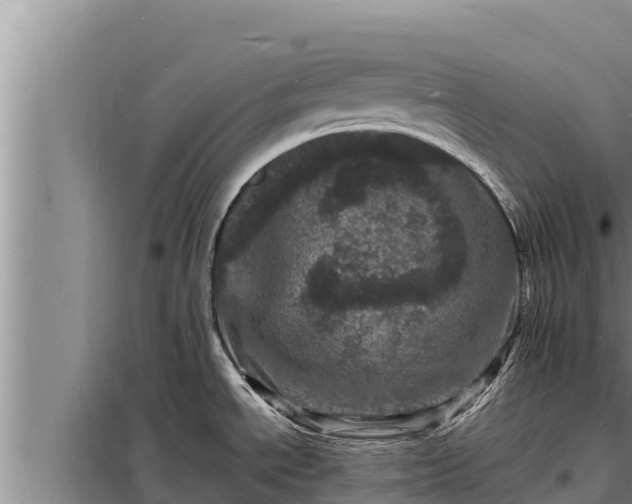 X0000098181534200805011024