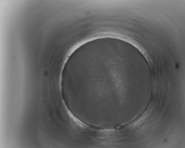 X0000098181535200805011024