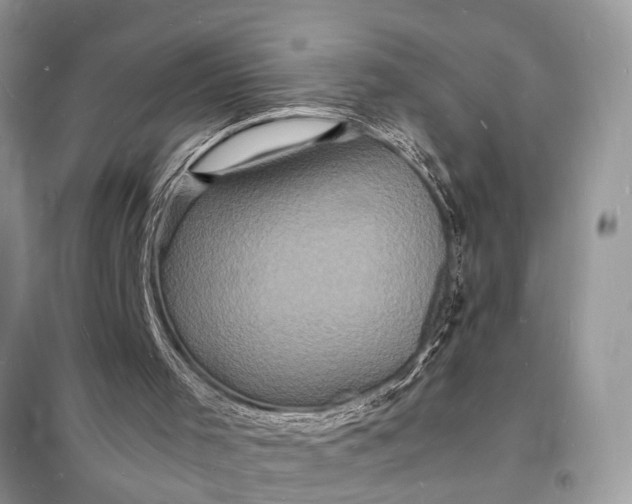 X0000098180001200805081035