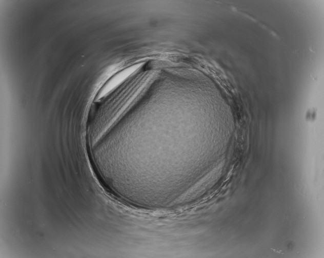 X0000098180003200805081035