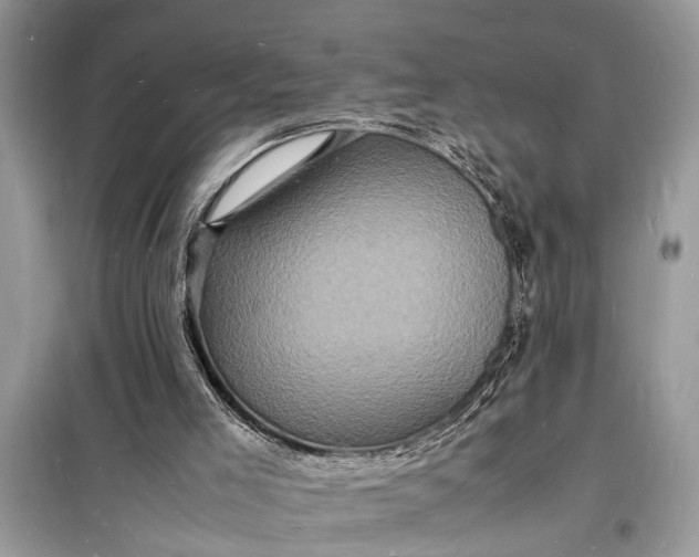 X0000098180005200805081035