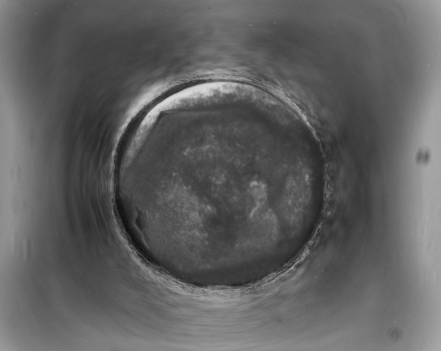 X0000098180008200805081035