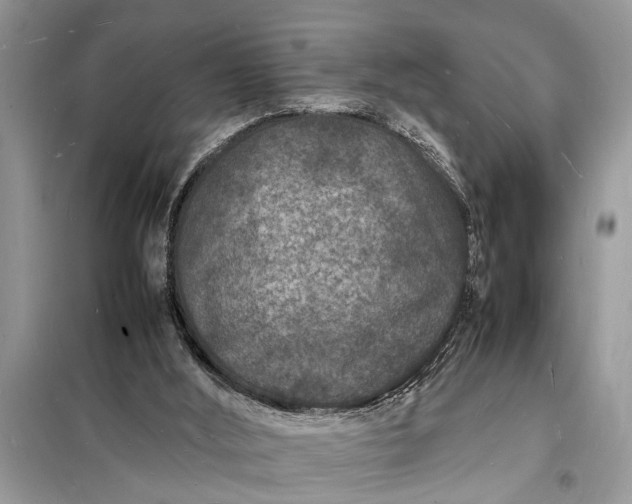 X0000098180012200805081035